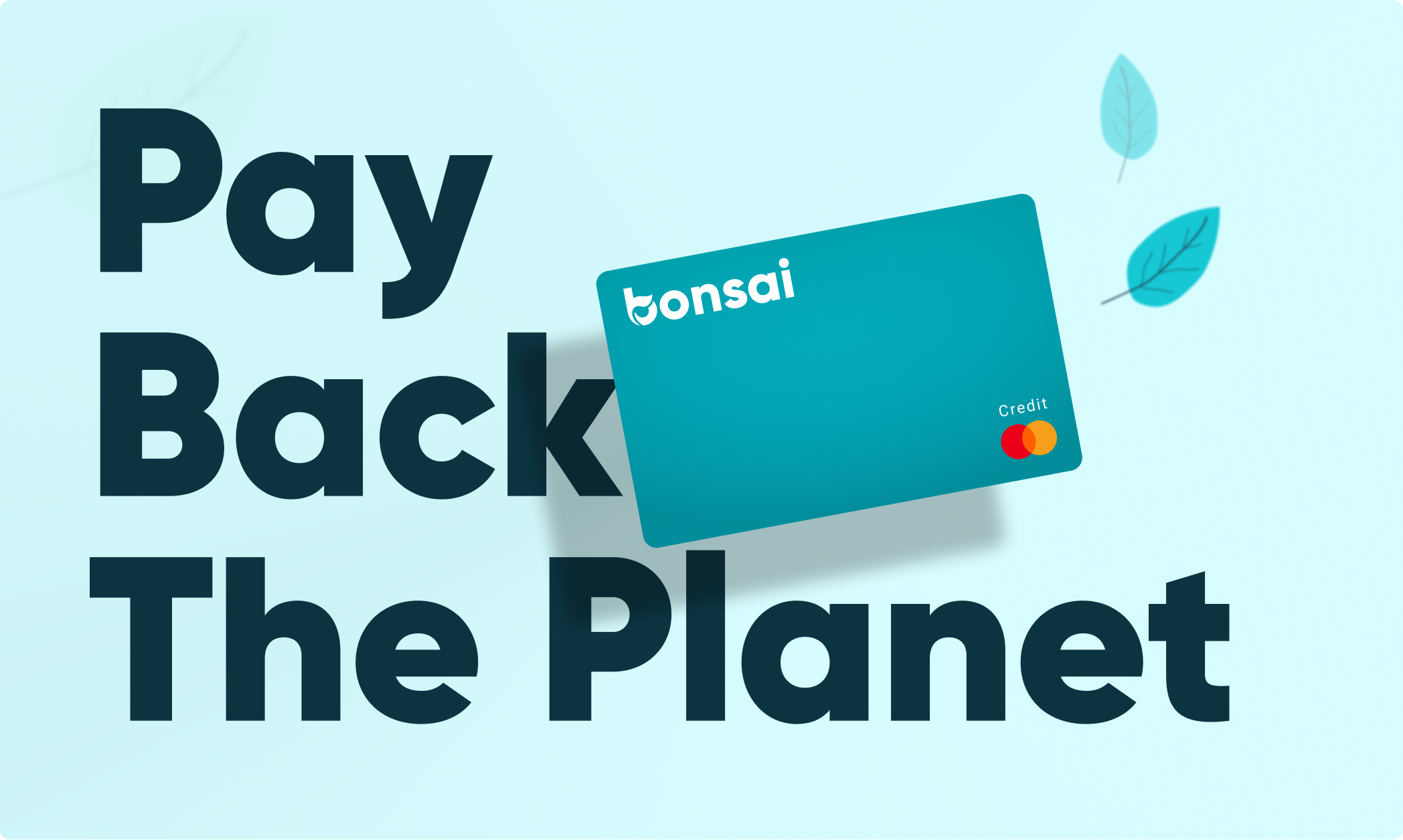 Bonsai card and Pay Back The Planet campaign artwork
